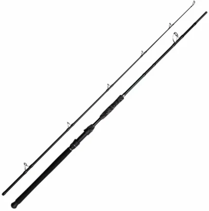 DAM Madcat Balck Deluxe New 2021 2,70m 100-250gr