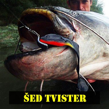 Twister