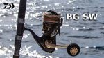 DAIWA 23 BG SW 4000D-CXH - Slika 2