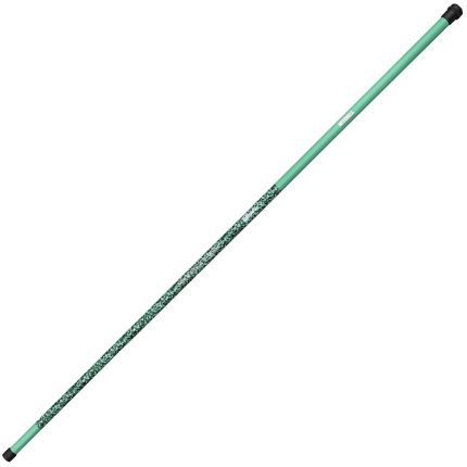 Mitchell Catch Pro II Pole Tele 3,00m + 0,5GR PLOVAK